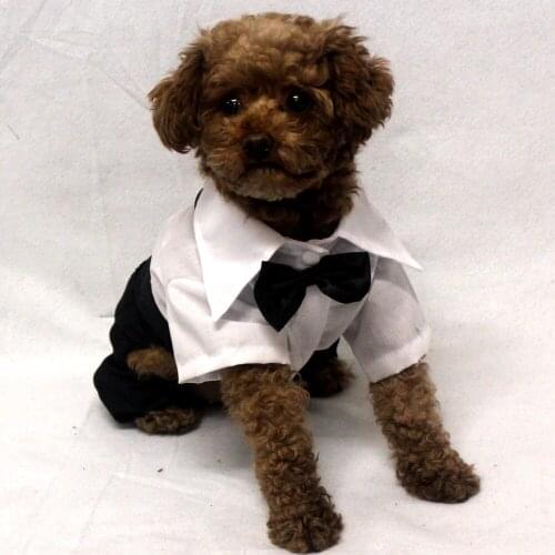TOMEPETS Pet clothing white dog shirt 7 sizes available wedding jumpsuit with black bow tie and pockets