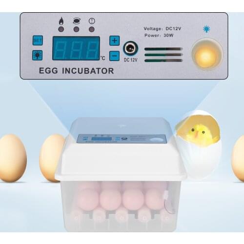Brooder Farm Hatchery Machine 16 Egg Hatcher Chicken Automatic Egg Incubator Goose Bird Quail Brooder Duck Pigeon Goose