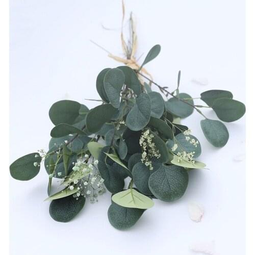 10 PCS Artificial Silver Dollar Eucalyptus Leaf For Plastic Flowers Household Store Dest Rustic Decoration Clover Plant