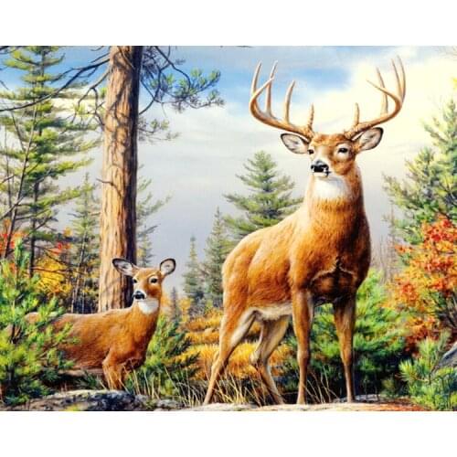 A14766 11CT/14CT/18CT/25CT/28CT Oil tea patterns Counted Cross Stitch DIY Cross Stitch Kits Embroidery Needlework Sets