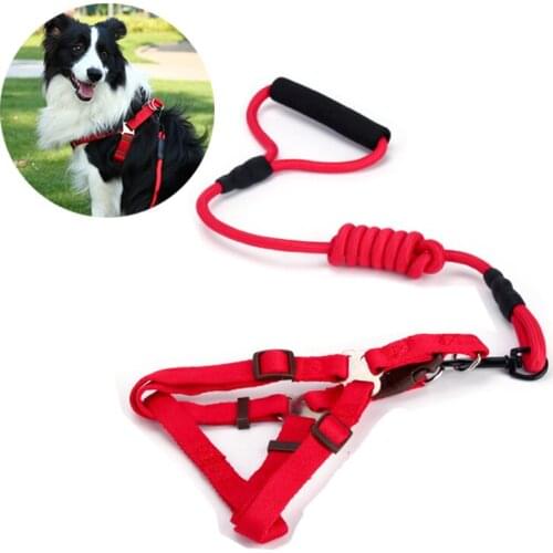 Soft Nylon Puppy Dog Harness and Leash Set Training Walking Running Halter Harness For Small Medium Large Dogs