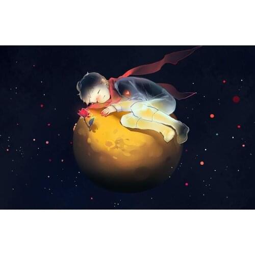 Little prince rose backgrounds photography vinyl portrait kids birthday photo backdrops for photo studio props fotografia lv-795