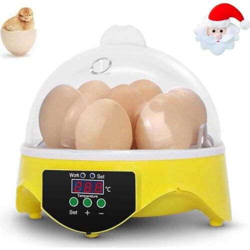 Egg Incubator 7 Eggs Temperature Control Hatching Machine Automatic Incubator for Chicken Eggs Poultry Hatcher