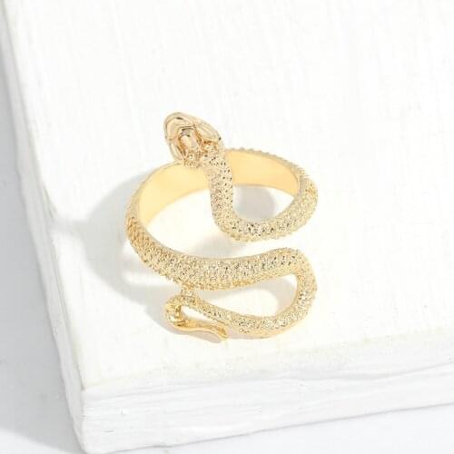 CANZE New Trend Snake Ring Women Men Double Circle Spiral Simple Gold Plated Couple Ring