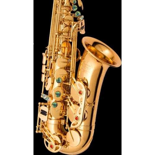 Classic gold alto saxophone NAIPUTESI NT- 802 Key type Electrophoretic paint gold[double reinforcement]alto sax with accessories