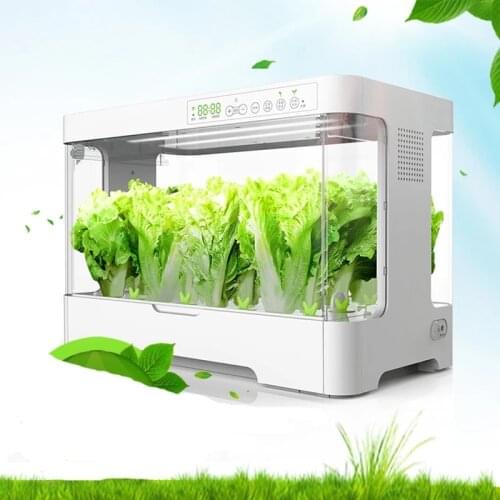 Oxygen Supply Electronic Water Cultivate Vegetable Seed Planting Enclosed Case Box Soilless Soil-Free Cultivation Equipment