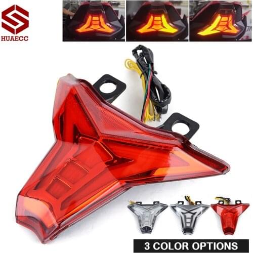 LED Tail Light for Kawasaki Z1000 Ninja 250 400 ZX10R ZX10RR ZX 10R 10RR Rear Brake Light Turn Signal Blinker Taillight