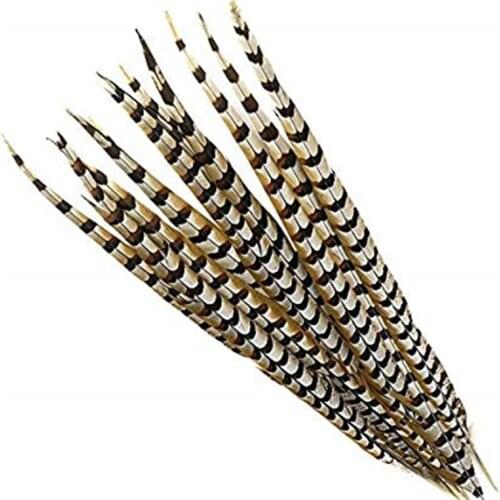 10Pcs 30-180CM Natural long Rare Pheasant Tail Feathers TOP High Quality DIY Party Wedding Decorations Halloween Pheasant plumes