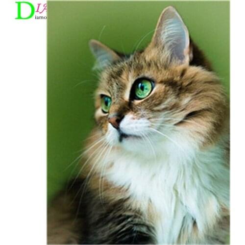 NEW Full Square Diamond Painting Cat 5D Diy Diamond Embroidery Animal Mosaic Picture Of Rhinestone Home Decoration Girl Hobby