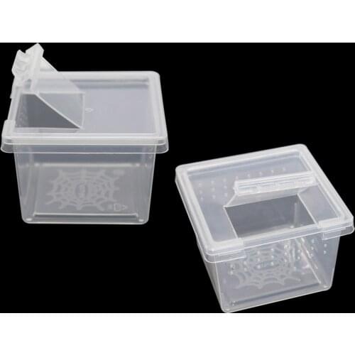 5 Pcs Terrarium for reptiles Transparent Plastic Box Reptile Terrarium Ideal Habitat for Scorpion spider Ants Chameleon Lizard