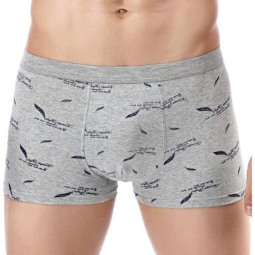 New Printed Cotton Pants For Men Pattern Type Calico Male 2020 Panties Classes Fashion Sexy Sweety Sliver Briefs Size L Gray