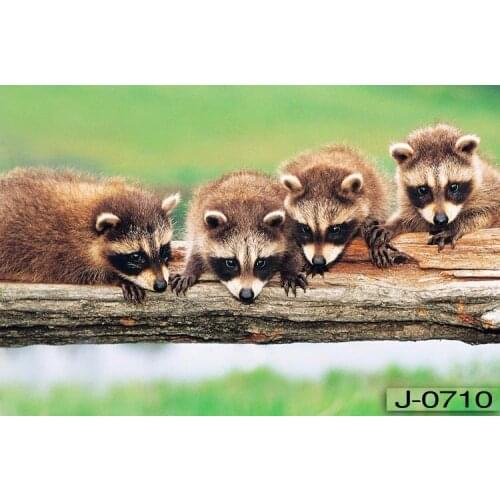 A large mural wallpaper TV backdrop sofa cute little raccoon animal Bear custom size