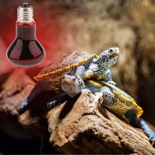 Nightlight Terrarium Heant Lamp for Reptile Tortoise Amphibian E27 Base Bulb