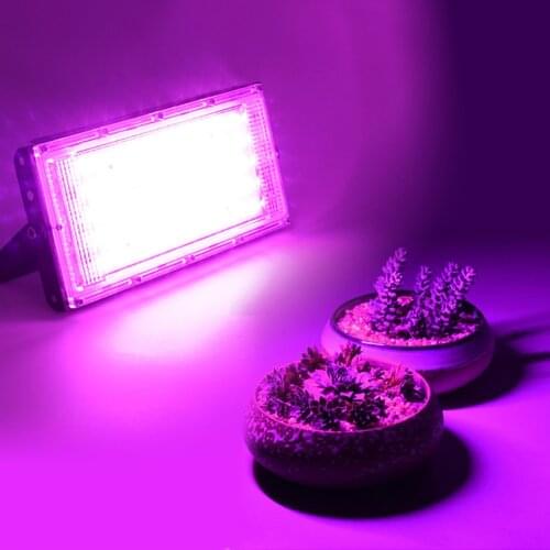 RecabLeght Plant Lamps