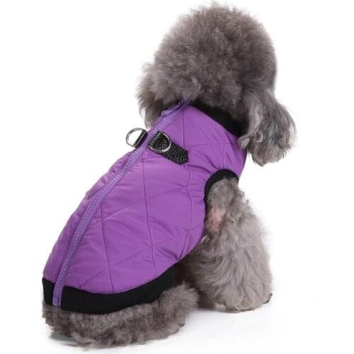 Winter pet dog clothes zipper jacket winter pet clothes cotton clothes