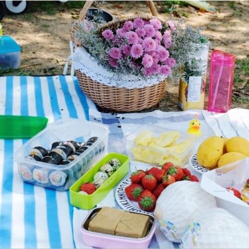 Rattan Outdoor Picnic Basket Country Style Hand Woven Hamper with Lid and Handle