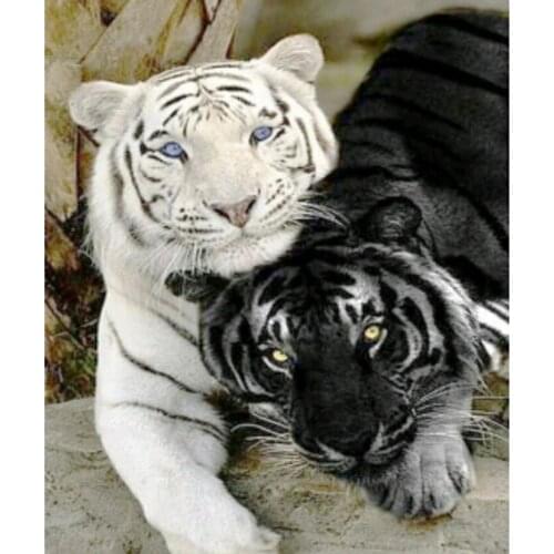 100% Full 5D Diy Daimond Painting Cross-stitch White&Black Tiger 3D Square Rhinestones Paintings Embroidery GJ563