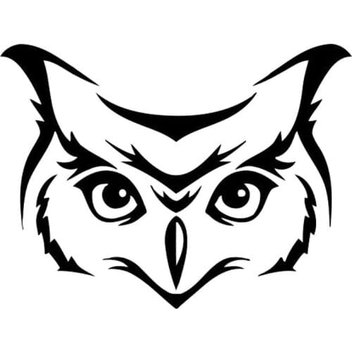 15.9cm*12cm Wild Animal Owl Bird Car Styling Decor Stickers Decals Vinyl