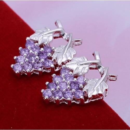 Fashion jewelry Earring For Women, Plated Earrings Inlaid Purple Earrings E040 /GHEGMBVQ ENYYWMGS silver color
