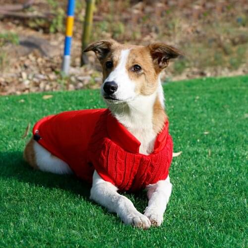 Pet Dog Clothes Woolen Patchwork Winter Jackets Thicken Dog Coat Suit Pet Jacket Vest Warm Pet Outfit for Small Medium Dog