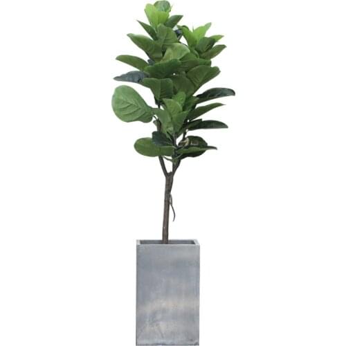 Nordic Style, Areca Palm Ficus Lyrata Anemone Large on-the-Ground Green Plant Artificial Bonsai