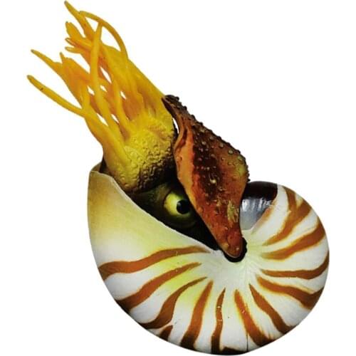 Simulation Nautilus Decorative Aquarium Sea Shells Landscaping Shells Crafts Fish Tank Decor Aquarium Ornament