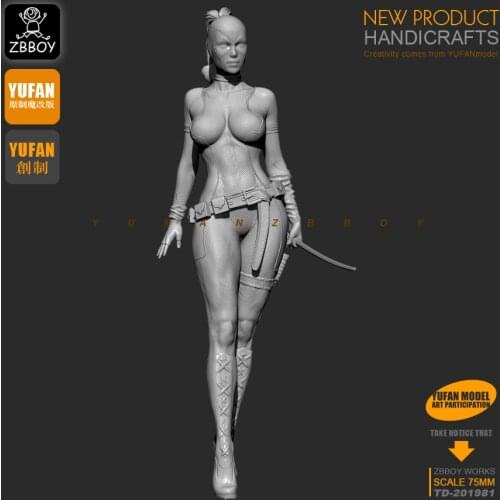 1 / 24 Resin Kits Lady Death Resin Soldier Model Self-assembled TD-201981