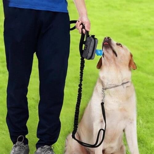 Dog Poop Bag Outdoor Portable Pet Waste Bag with A Roll of Garbage Bag Puppy Cat Pick Up Poop Packet Dispenser Dog Supplies