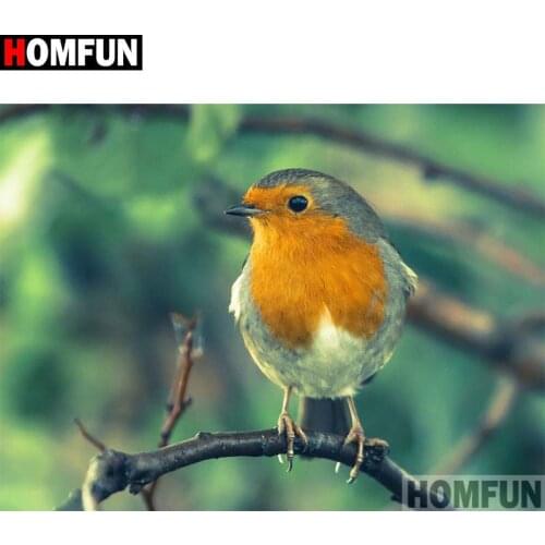 HOMFUN Diy 5d Diamond Painting "Animal bird" Cross Stitch Square Round Diamond Embroidery Handwork Rhinestone Art A17340