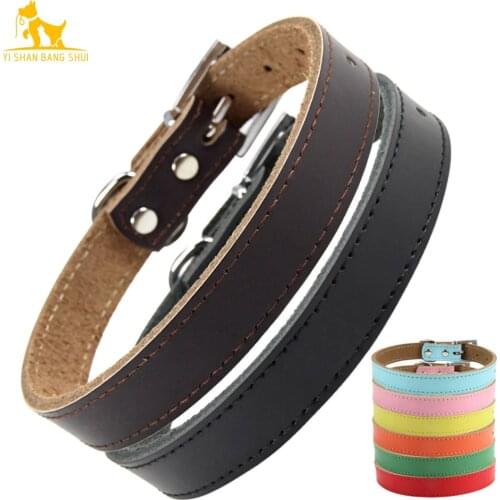 XS-XL Genuine Leather Dog Collar Padded Microfiber Adjustable Pet Collars for Small Medium Large Dog Chihuahua Puppy Neck Strap