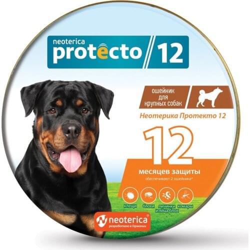 Neoterica Products For Dogs