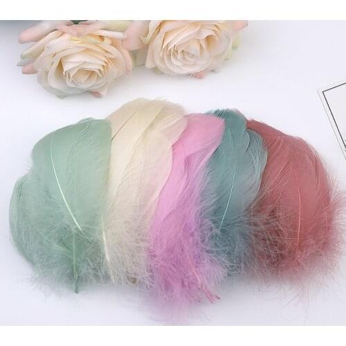 Natural Goose Feathers 7-12cm Goose Plumes Colorful Feather DIY Craft Decor for Christmas Party Or Wedding Decoration