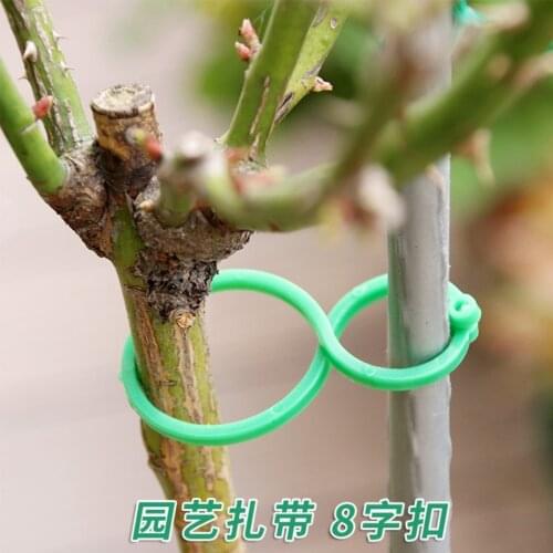 50/100Pcs Reusable 8-Shaped Buckle Plant Stem Tomato Flower Fastener Tree Lock Gourd Ring Plastic Gardening Accessories