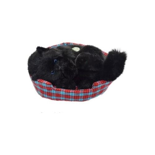 Free shipping funny cat toy for birthday gift and decoration