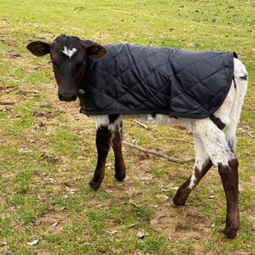 Pet Leather Coat Pet Goat Dog Winter Warm Clothes For Dogs Thicken Puppy Clothing Vest Coat Pet Supplies