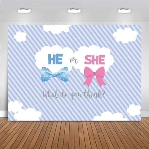 Blue White Cloud Bow He Or She Party Background For Decor Photo Girl or Boy Gender Reveal Family Dinner Backdrop For Home