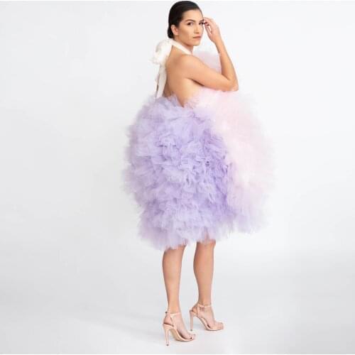 Pretty Lush Tutu Dress Vestidos Sexy Backless Puffy Ruffles Short Tulle Dresses Women Female Sweet Dress Custom Made