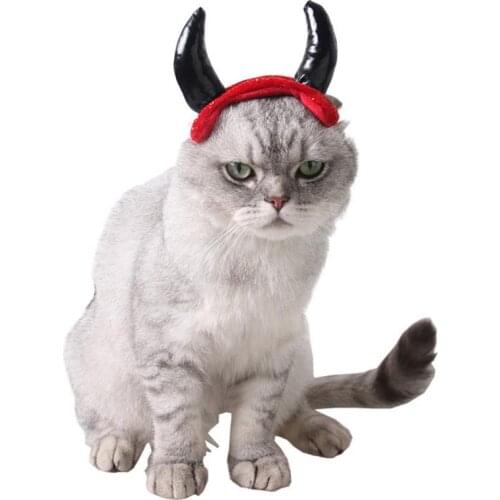Halloween Ox Horn Cap for Cat Vampire Devil Horn Hat Small Dogs Pet Cosplay Headwear Teddy Scottish Fold Cats Accessories