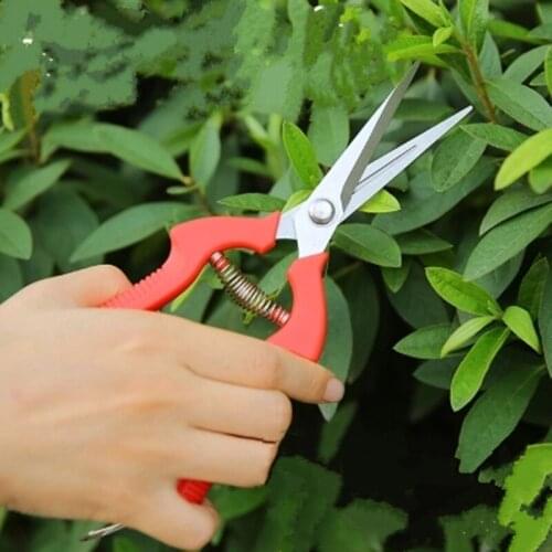 Red handle stainless steel Selling Pruning scissors for grafting trees Pruning Shears Bonsai Pruners Flower Cutter garden Tool