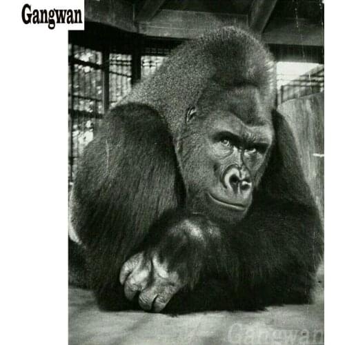 5d diy diamond painting gorilla pattern sticker full square round drill Apes animal hobby decoration diamond mosaic wall paint