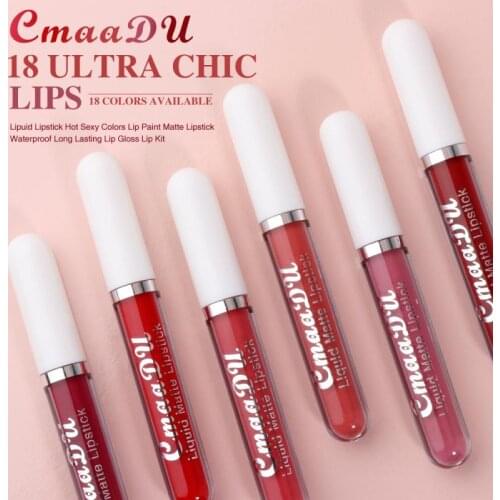 18 Colors Lip Gloss Waterproof Lasting Lipstick Women Makeup Cosmetic Matte Lipstick Moisturizer Lip Balm Velvet Lip Tint TSLM1