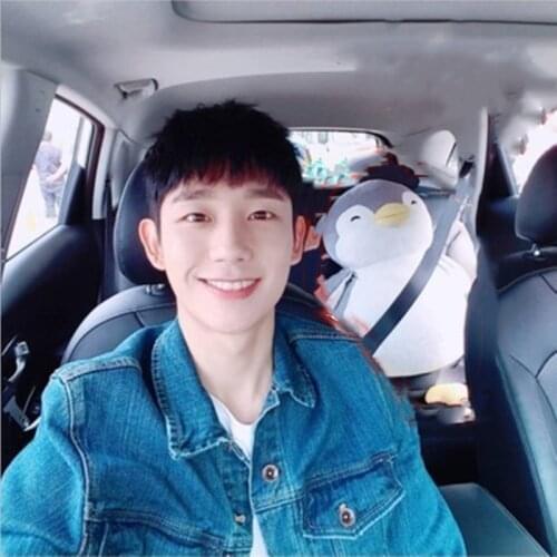 While You Were Sleeping Bae Suzy Penguin Korean drama Lying Bed Sofa Doll Plush Stuffed Child Toys Christmas Gift Cushion pillow