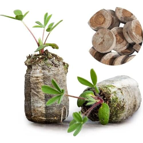 3pcs Peat Pellets Seed Starting Plugs Seeds Starter Pallet Seedling Soil Block Professional 3*1CM