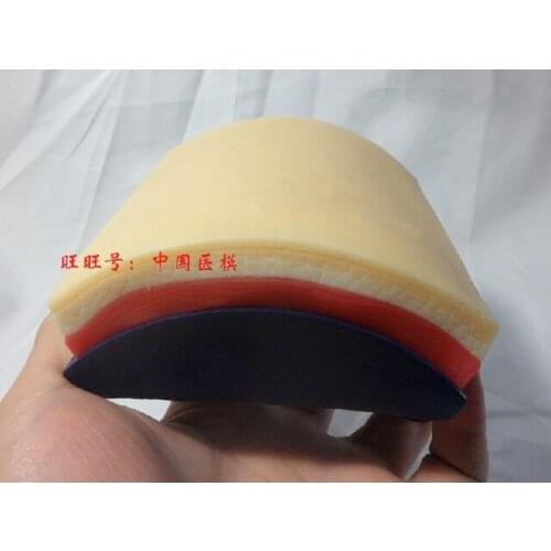 Simulation human Skin Suture Training Model/ Suture Practice Pad /Wound Closure Pad