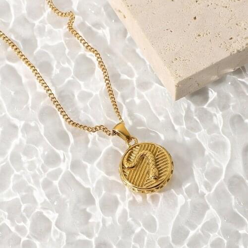 Fashion Gold Plated Snake Coin Pendant Necklace Medallion Necklaces For Women Stackable Stainless Steel Jewelry Accessories