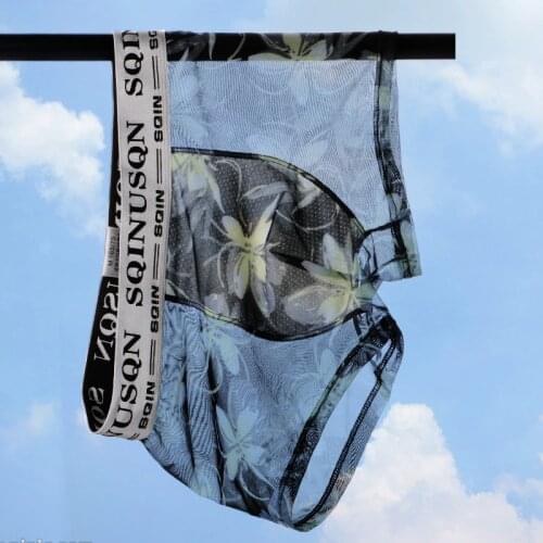 QIWEIWOLF Men's Transparent Briefs
