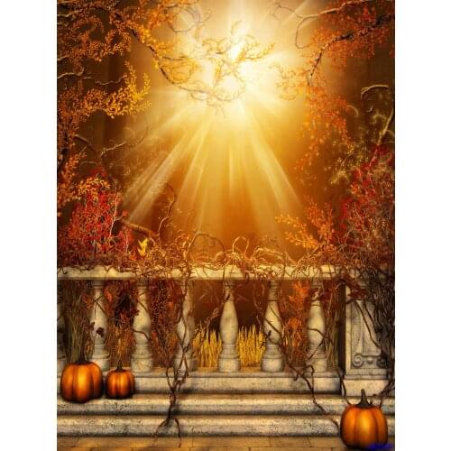 VinylBDS 200X300CM Halloween Backdrops Fotografie Achtergronden Photpgraphy Sun Pumpkin Garden Background Backdrops