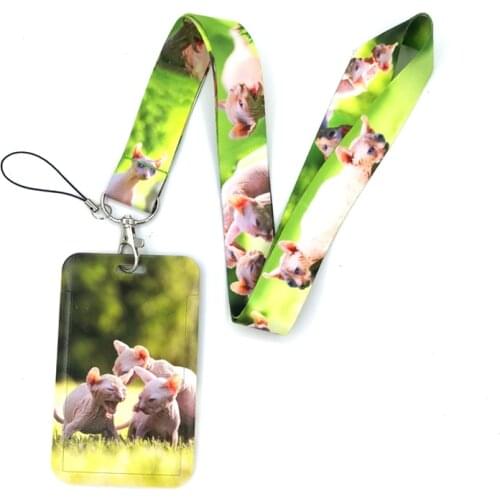 Animal Hairless Sphynx Cats Key lanyard Car KeyChain ID Card Pass Gym Mobile Phone Badge Kid Key Ring Holder Jewelry Decorations