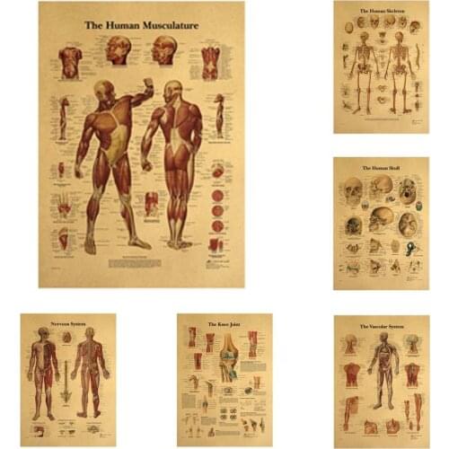 Buy 3 Get 4 Fashion The Human Head Bone Structural Anatomy Vintage Kraft Paper Poster Wall Sticker Print Painting Home Decor