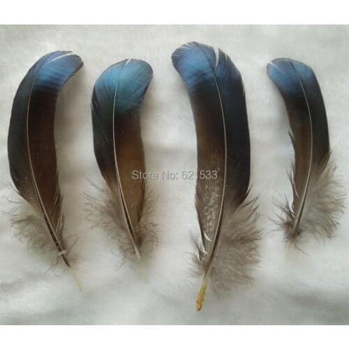 20Pcs/Lot!8-15cm Long Natural Blue Lady Amherst Pheasant Feathers, Plumes,Party Decoration,Fly Tying Materials